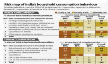 Risk Map Occupation X Income Group X Consumption Weight