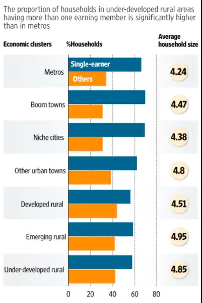 Are single-earner families different from others?