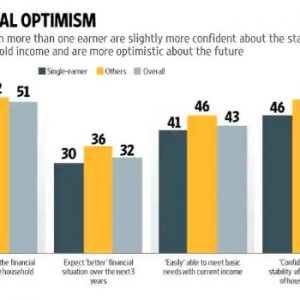 Are single earner families different from others