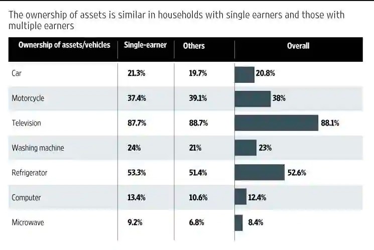 Are single-earner families different from others?